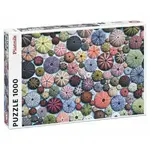Puzzle Mořští ježci 1000 dílků