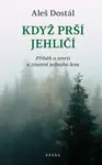 Když prší jehličí (poškozené) - Aleš Dostál
