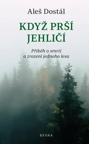 Když prší jehličí (poškozené) - Aleš Dostál
