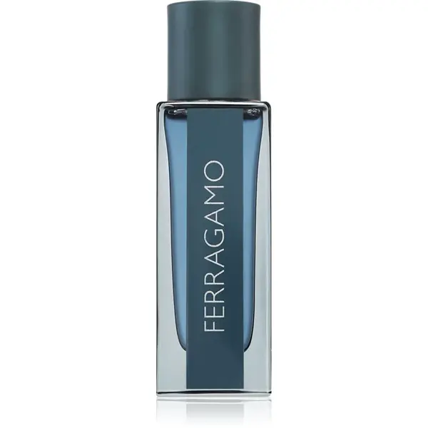 Ferragamo Ferragamo Intense Leather parfumovaná voda pre mužov 30 ml