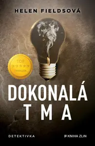 Dokonalá tma (poškozené) - Helen Fieldsová