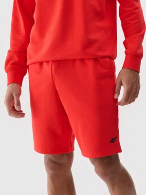 Pánské kraťasy 4F