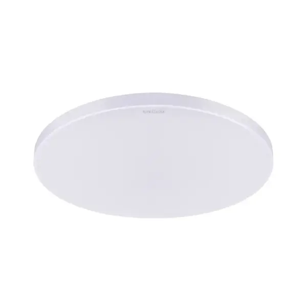 Luster Dowbor 04954 LEDC 24W white NW PL1