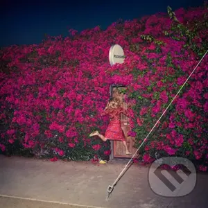 Feist: Pleasure LP