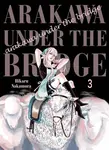 Arakawa Under the Bridge 3 - Hikaru Nakamura