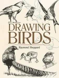Drawing Birds - Raymond Sheppard