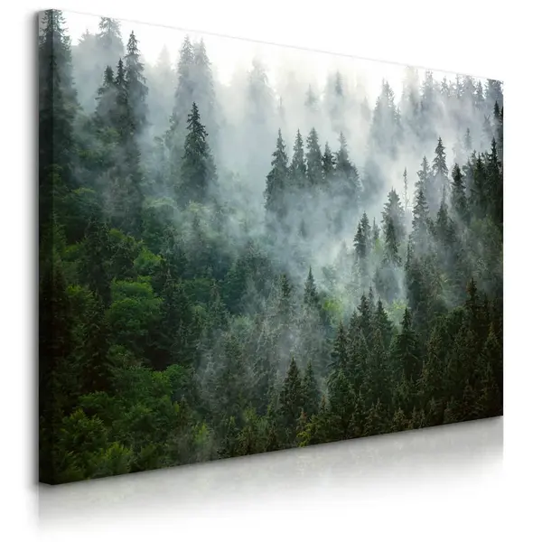 Muralo OBRAZ NA PLÁTNĚ Les v Mlze Krajina 3D 70x50