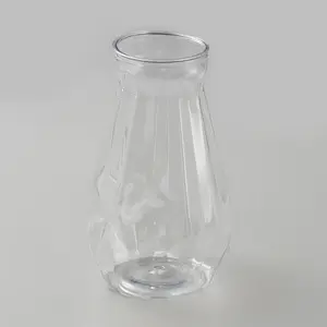 Glass Hydroponic Vase