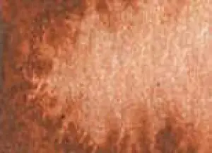 Akvarelová barva DS 15ml – 010 Burnt Sienna