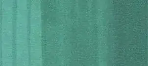 Copic classic marker – G17 Forest Green