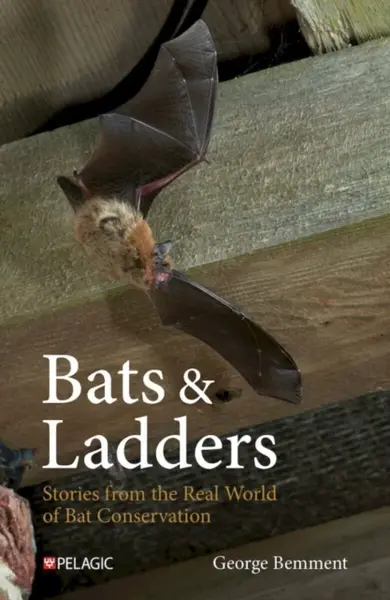 Bats & Ladders - George Bemment