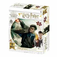 Harry Potter 3D puzzle - Harry Potter 300 dílků