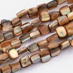 Shell Beads Strands