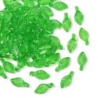 Transparent Acrylic Charms