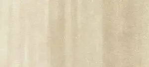 Copic classic marker – E40 Brick White