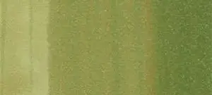 Copic sketch marker - G24 willow