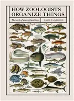 How Zoologists Organize Things - David Bainbridge