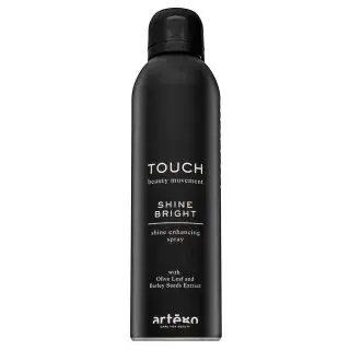 Artègo Touch Shine Bright Shine Enhancing Spray stylingový sprej pre lesk vlasov 250 ml