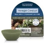 YANKEE CANDLE Vonný vosk Silver Sage & Pine 22 g