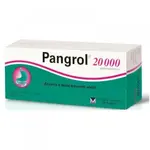 PANGROL 20 000 tablety 50 kusov
