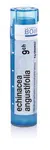 Boiron ECHINACEA ANGUSTIFOLIA CH9 granule 4 g