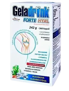 GELADRINK FORTE HYAL 360 kapslí 360 tablet