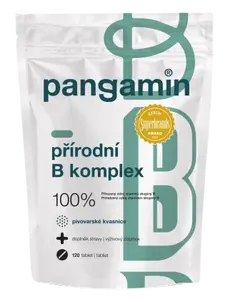 PANGAMIN Přírodní B komplex 120 tablet