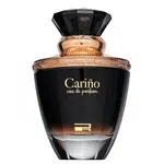 Rue Broca Carino parfémovaná voda pro muže 100 ml