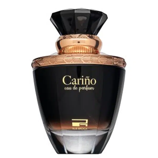 Rue Broca Carino parfémovaná voda pro muže 100 ml