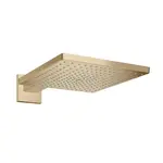 Hansgrohe Raindance E hlavová sprcha na stenu kartáčovaný bronz 26238140