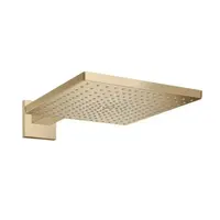 Hansgrohe Raindance E hlavová sprcha na stenu kartáčovaný bronz 26238140