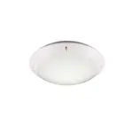 Reality Camaro stropné osvetlenie biela r60501031 RER60501031