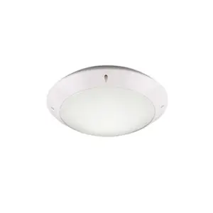 Reality Camaro stropné osvetlenie biela r60501031 RER60501031