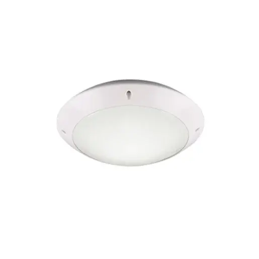 Stropné osvetlenie Reality Camaro biela R60501031