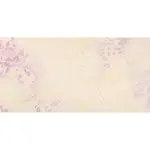 Obklad Rako Levante viacfarebná 30x60 cm mat / lesk WADVK592.1