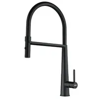 Drezová batéria Franke FG 0598.901 ICON Matná čierna 115.0690.598