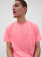 GAP Pánské Bavlněné tričko 796255-34 Velikost: XS