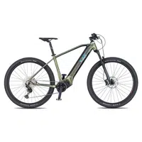 Horské elektrokolo 4EVER Exstream PRO 820Wh 29" - model 2025 M (17", 165-175 cm) snake green/hologram