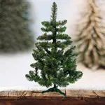 Stromek borovice zelené koncovky 100  cm.