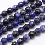 Natural Sodalite Beads Strands