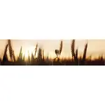 Skleněný panel 60/240 Country 4-Elem