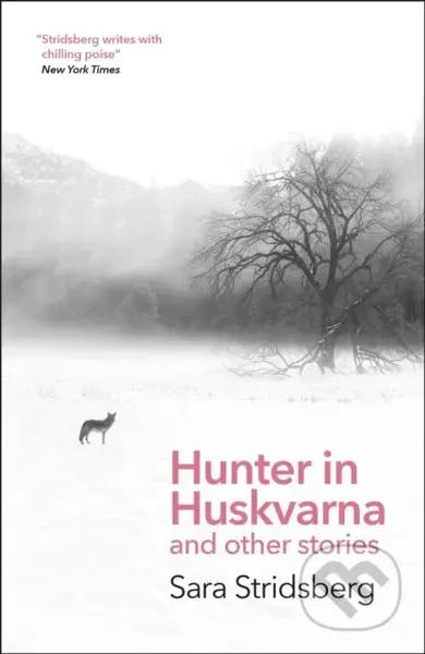 Hunter in Huskvarna - Sara Stridsberg - kniha z kategorie Společenská beletrie
