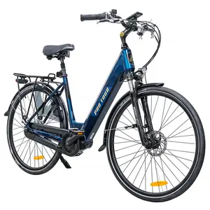 CITY 5.3-18 Electric Bike 250W 36V 14Ah 25km/h