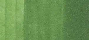 Copic sketch marker - YG67 moss