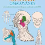 Anatomie omalovánky - Henry Gray, Henry Carter