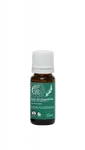 TIERRA VERDE Esenciální olej Rozmarýn BIO 10 ml