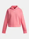 Under Armour UA Rival Fleece Hoodie