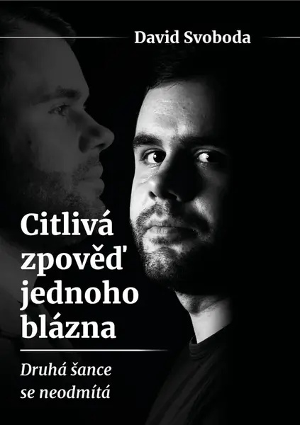 Citlivá zpověď jednoho blázna  - David Svoboda
