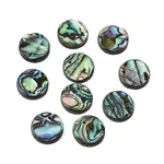 Natural Paua Shell Pendants