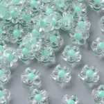 Transparent Acrylic Beads